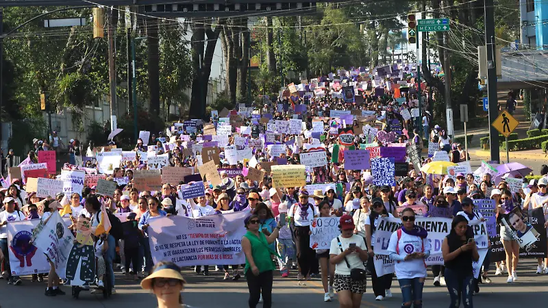 Marcha 8M 